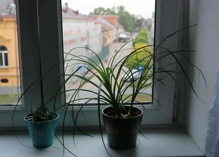 Apartment F6